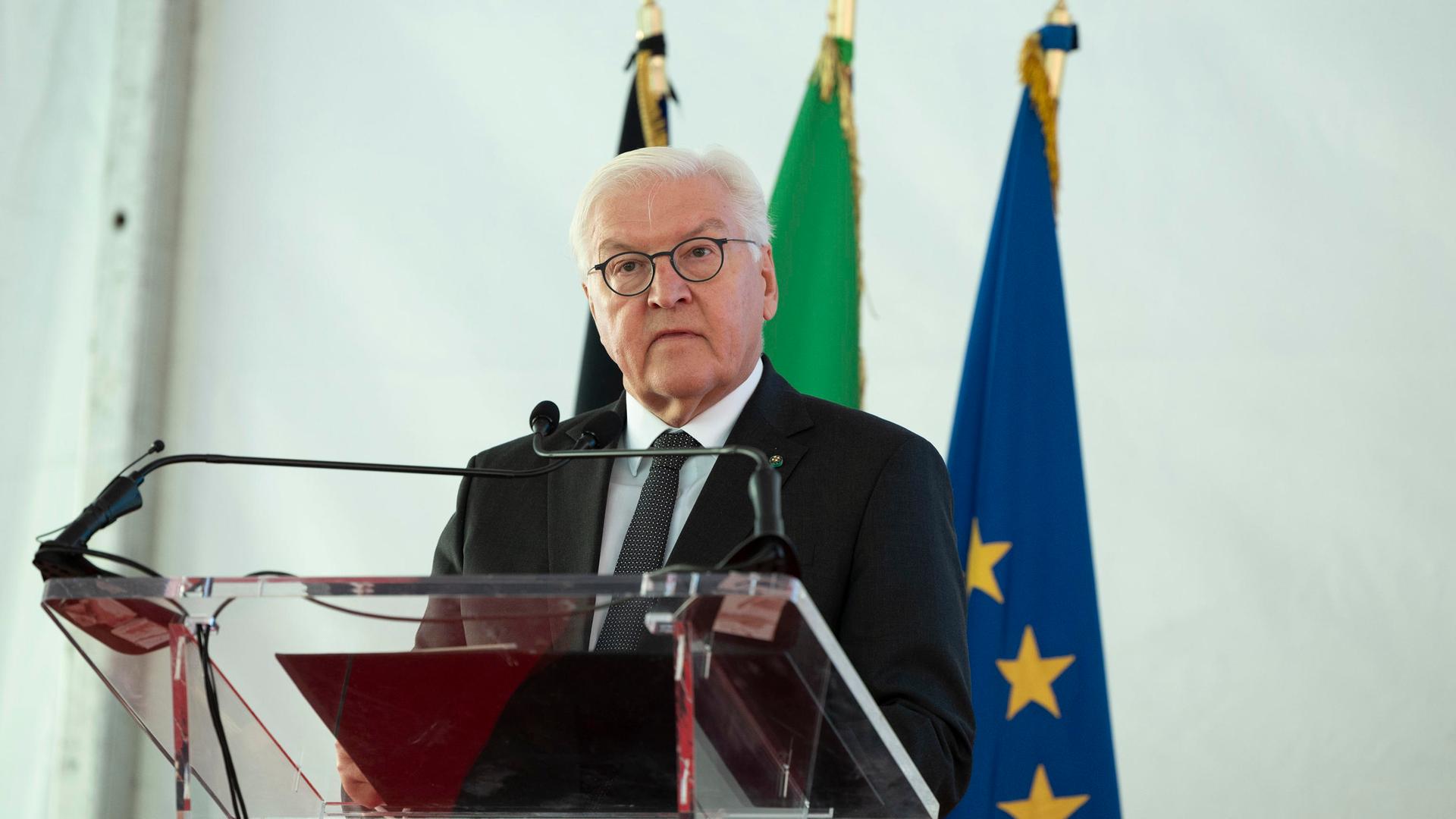 Bundespräsident Frank-Walter Steinmeier