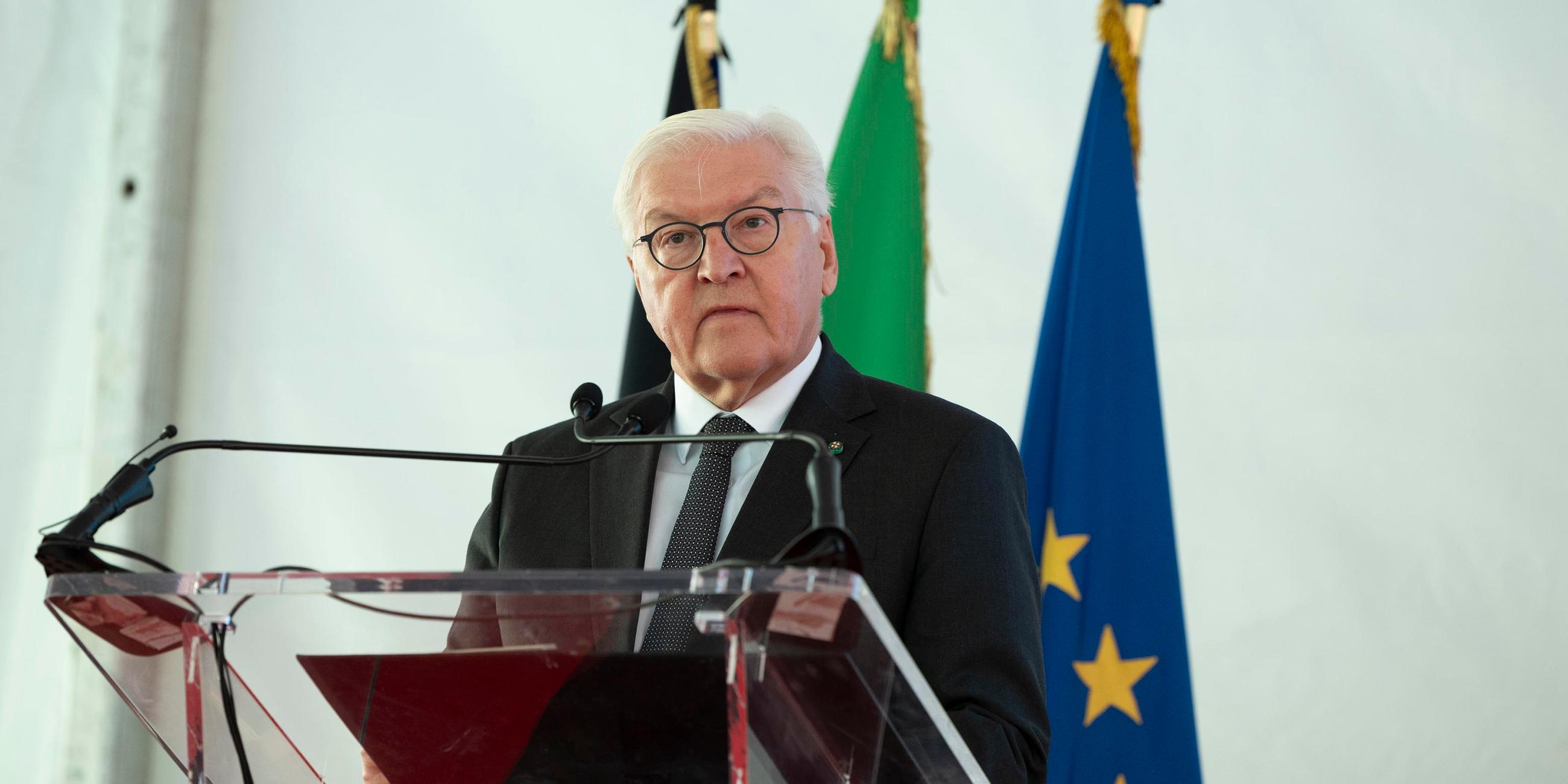 Bundespräsident Frank-Walter Steinmeier