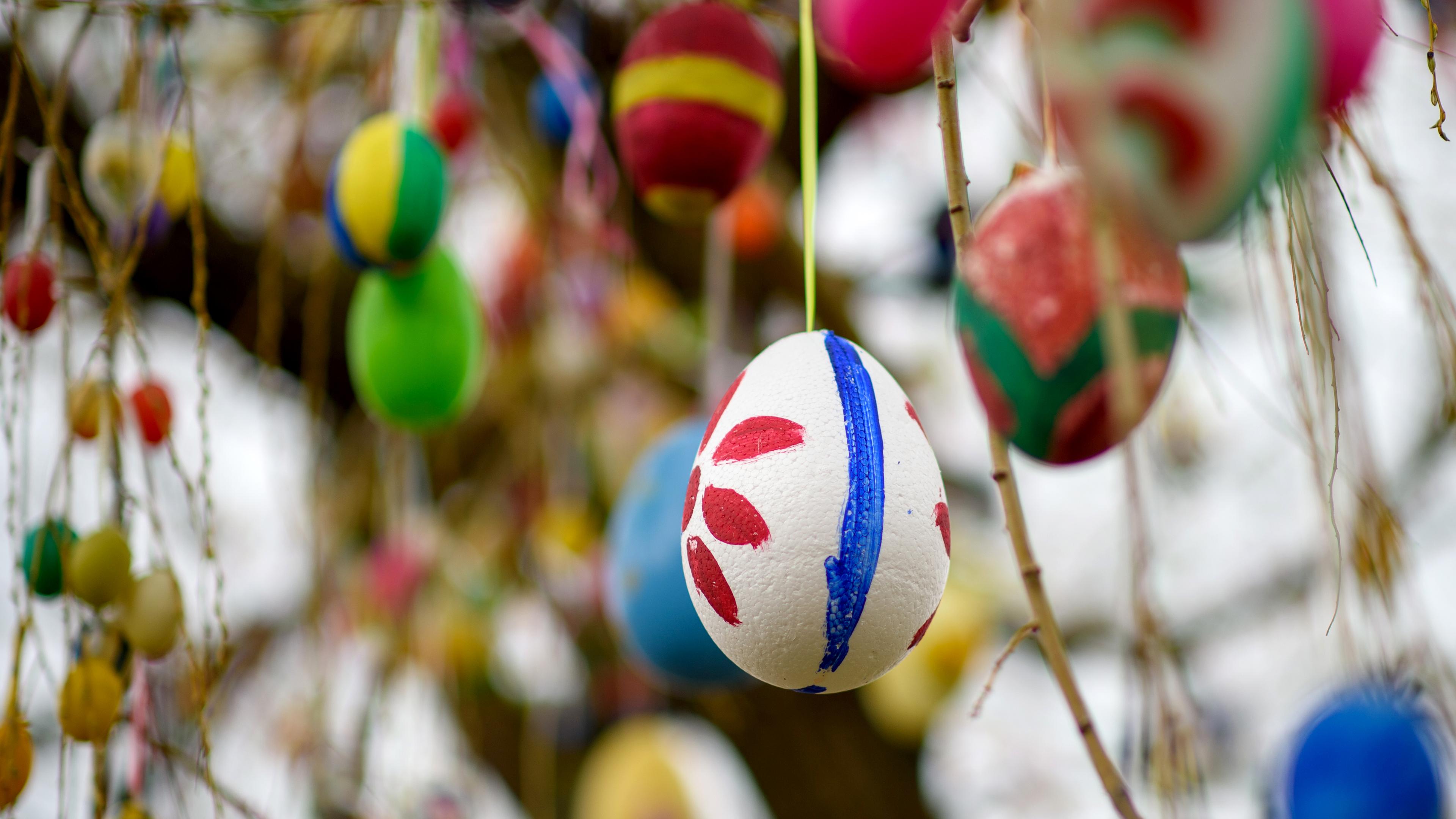 Ostereier hängen im Osterbaum 