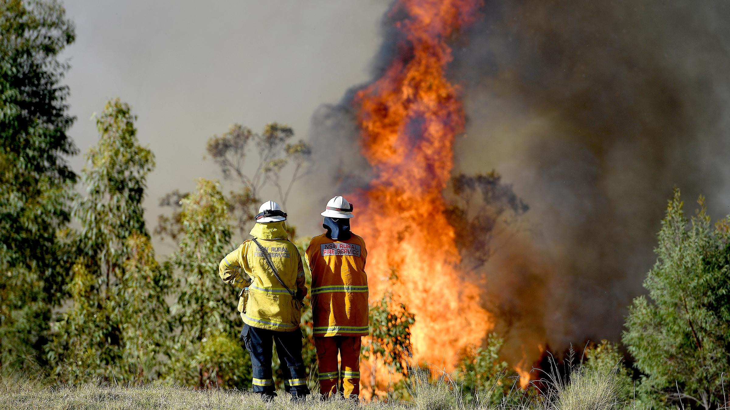 Einsatzkräfte der Feuerwehr beobachten ein Feuer in der Nähe von Wheelbarrow Ridge bei Sydney.