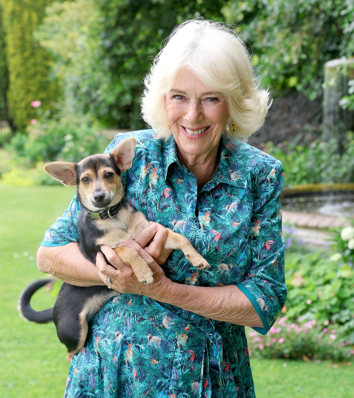 Adel: Camilla besucht ein Tierheim in Battersea