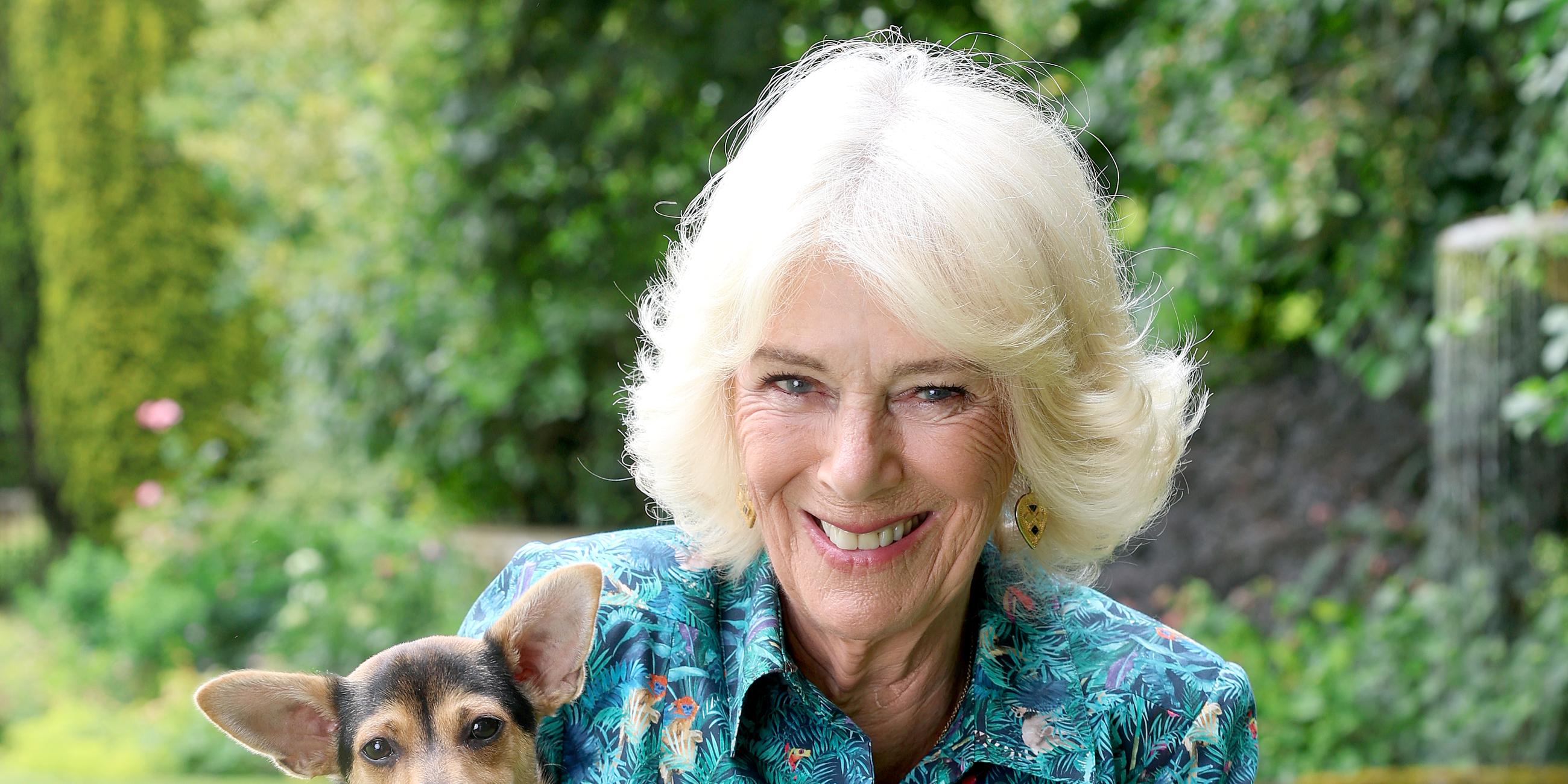 Adel: Camilla besucht ein Tierheim in Battersea