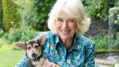 Adel: Camilla besucht ein Tierheim in Battersea