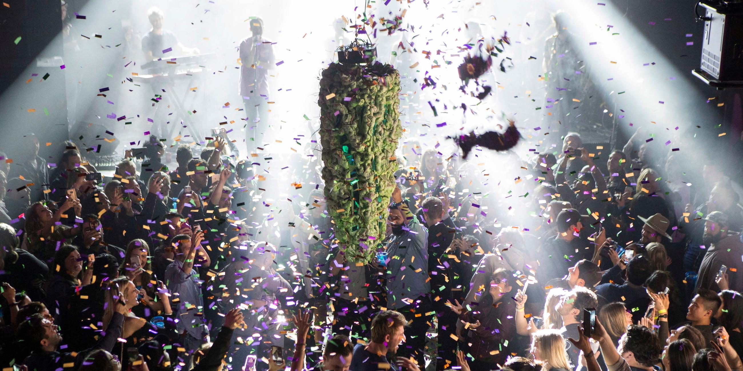 Cannabis