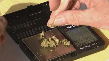 Cannabis als Medizin