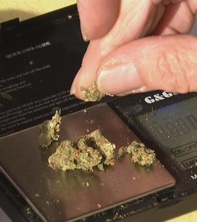 Cannabis als Medizin