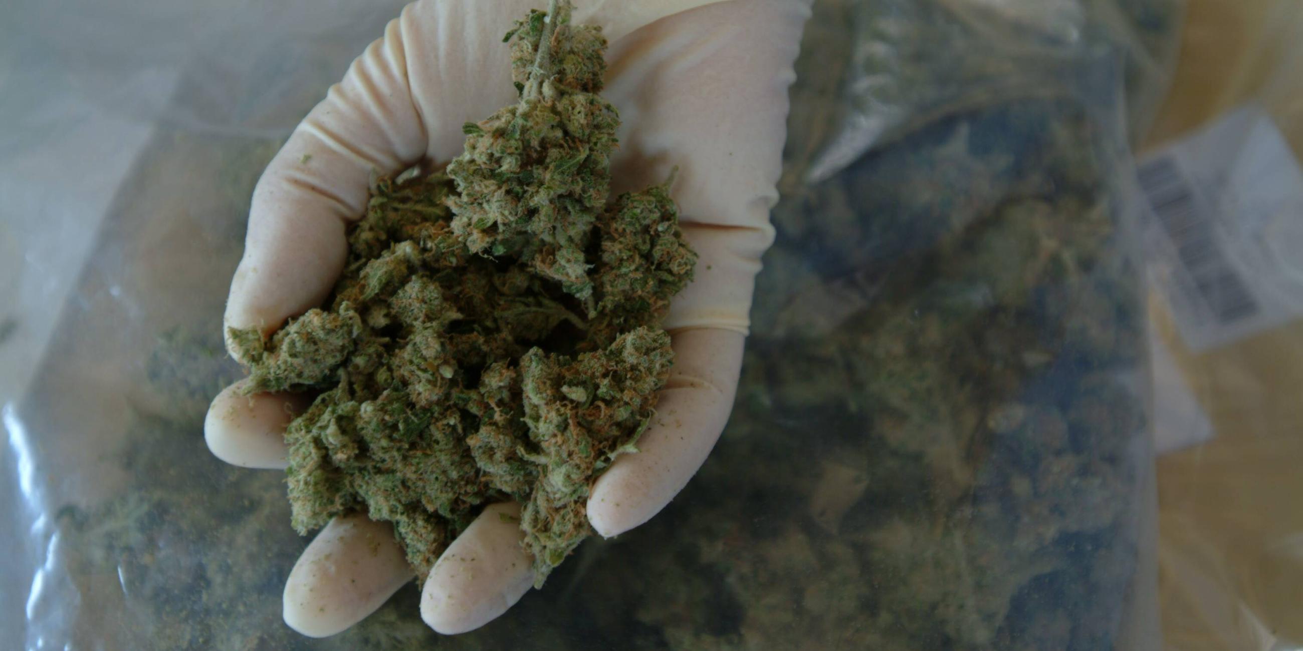 Beschlagnahmtes Cannabis
