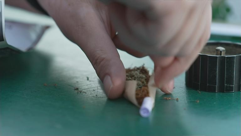 Cannabis wird zur Zigarette gedreht.