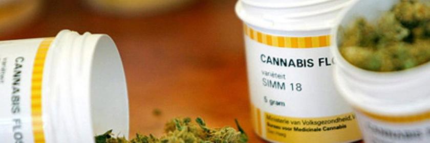 Standbild: Cannabis - Medizin oder Droge?