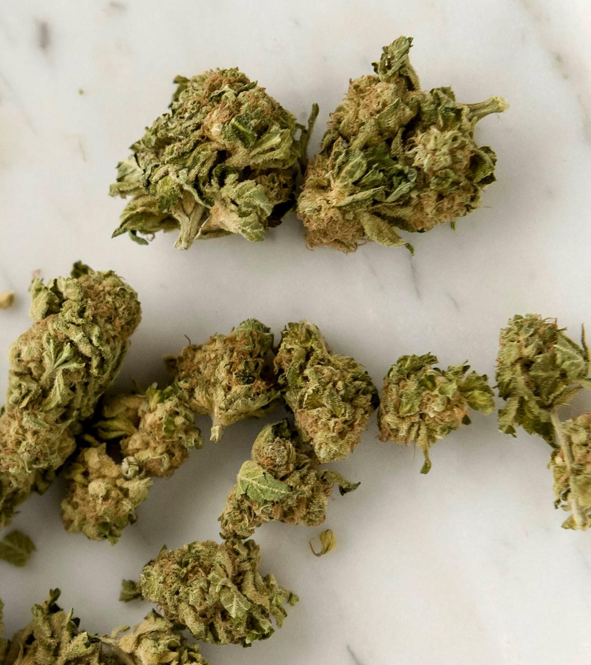 Medinzinisches Cannabis. (Archiv)