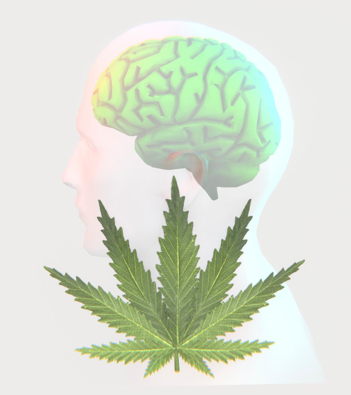 Die Illustration zeigt ein Cannabis-Blatt und die Silhouette eines Menschen