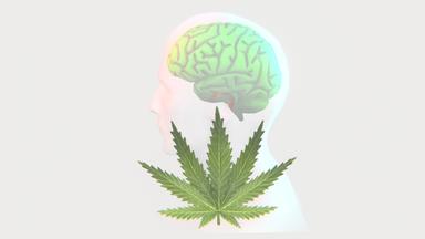 Die Illustration zeigt ein Cannabis-Blatt und die Silhouette eines Menschen