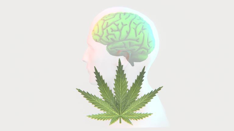 Die Illustration zeigt ein Cannabis-Blatt und die Silhouette eines Menschen