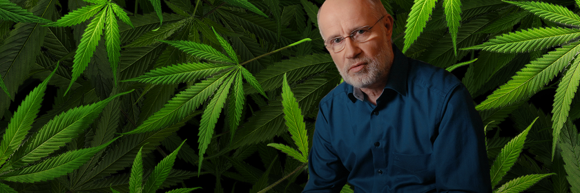 Collage: Harald Lesch vor Cannabisblättern