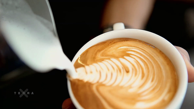 Cappuchino
