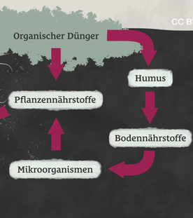 Bokashi-Eimer: Dnger-Produktion in der Kche