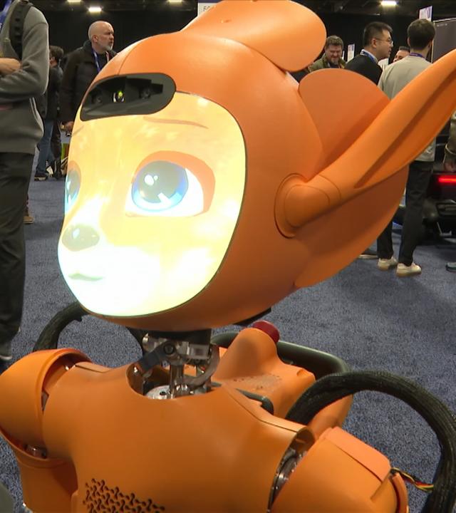 CES: Größte Technikmesse der Welt