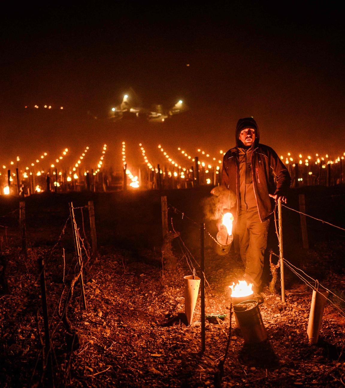 Ein Winzer zündet in seinem Weinberg im Burgund Frostschutzkerzen an, da die Temperaturen in der Nacht unter null Grad Celsius fallen.