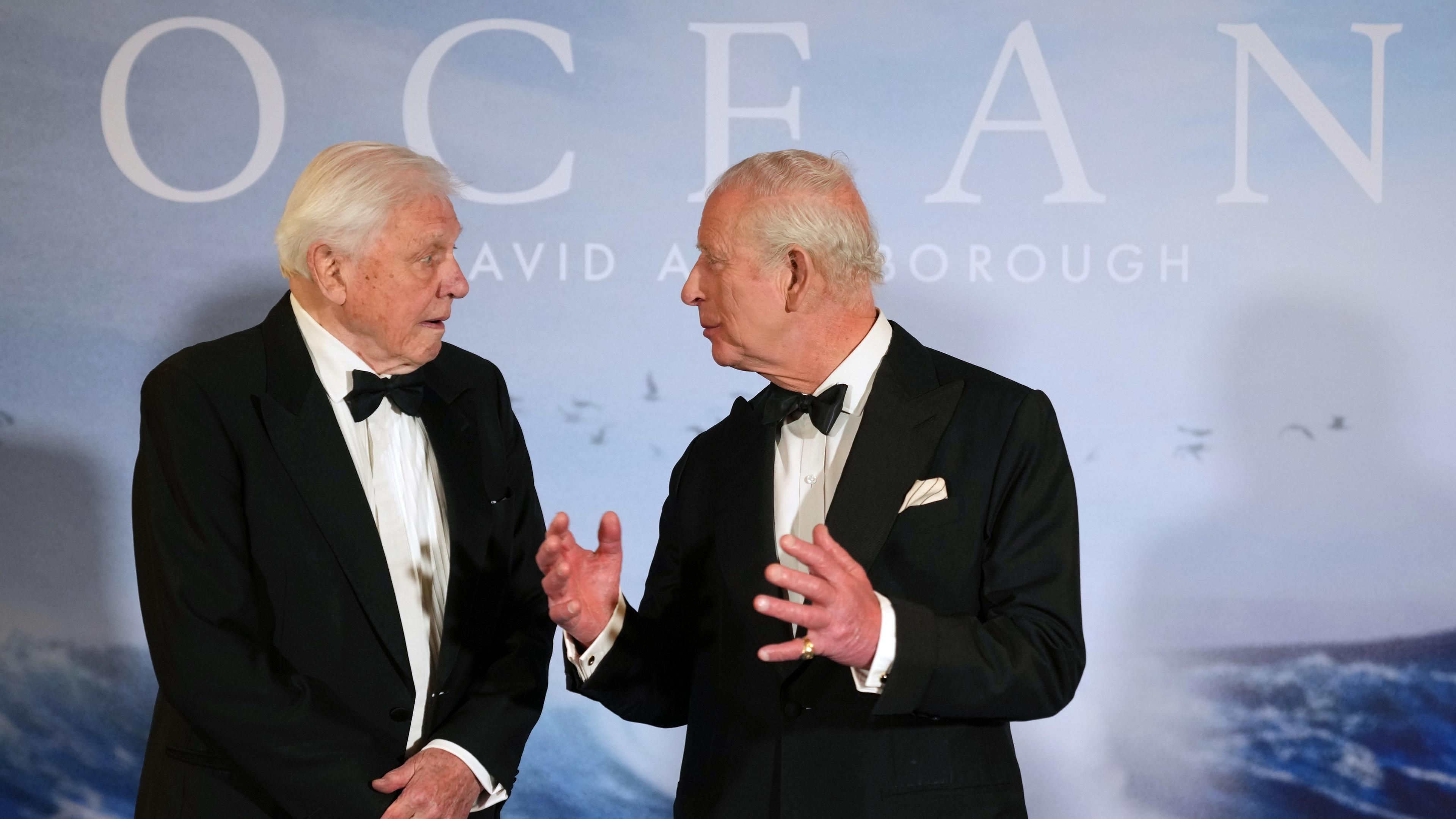 König Charles III besuchte die Premiere von "Ocean" mit David Attenborough" in London und unterhält sich mit Attenborough.