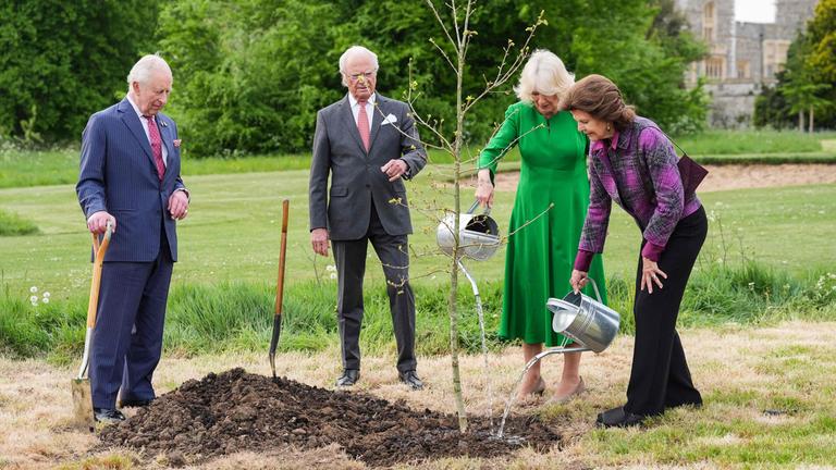 König Charles und Königin Camilla pflanzen mit Silvia und Carl Gustaf eine schwedische Eiche im Park von Schloss Windsor