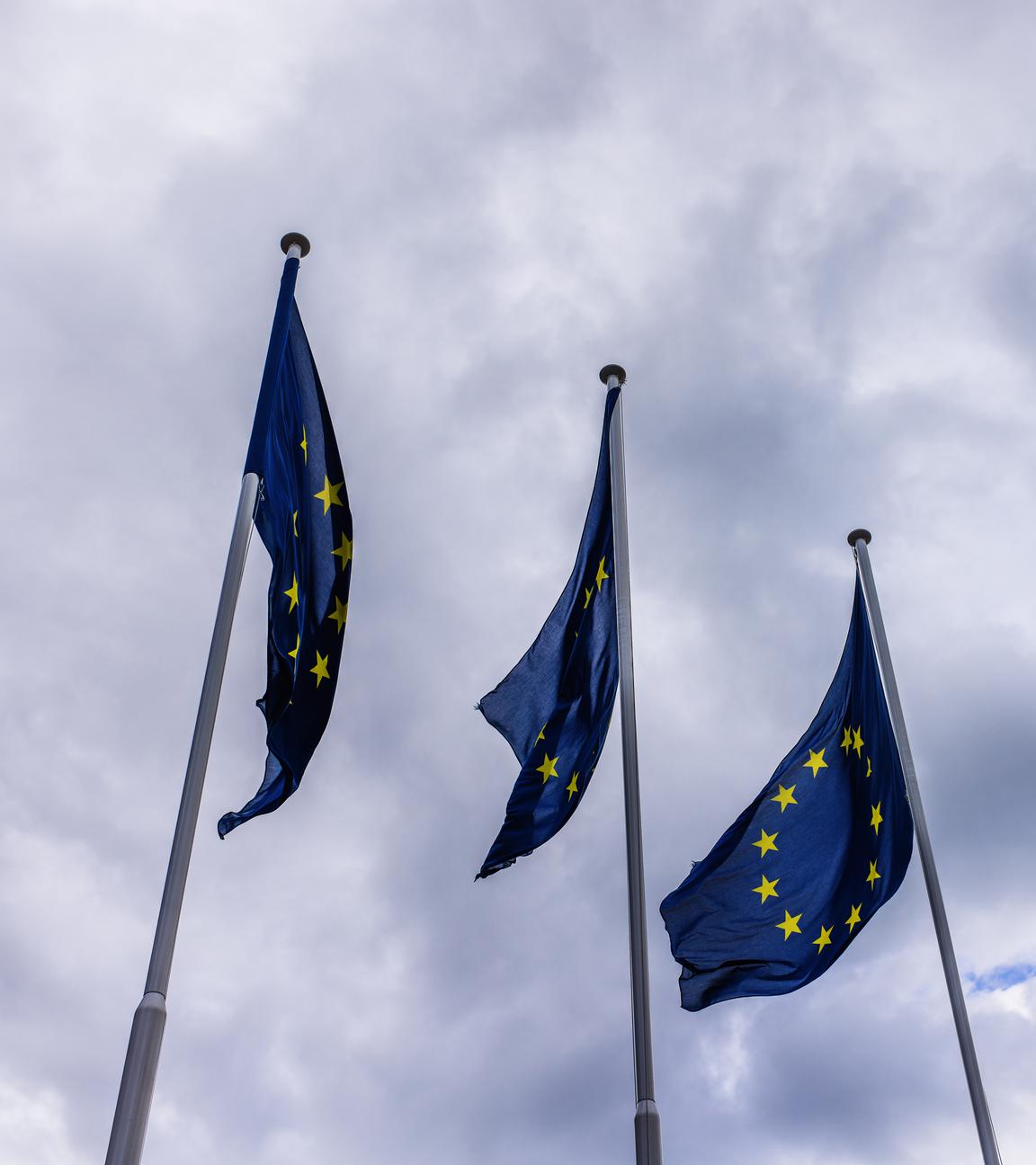 EU Flaggen
