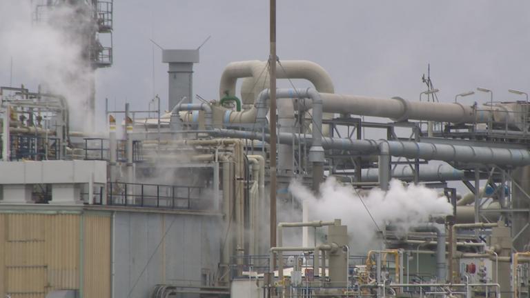 Chemieskandal in den Niederlanden