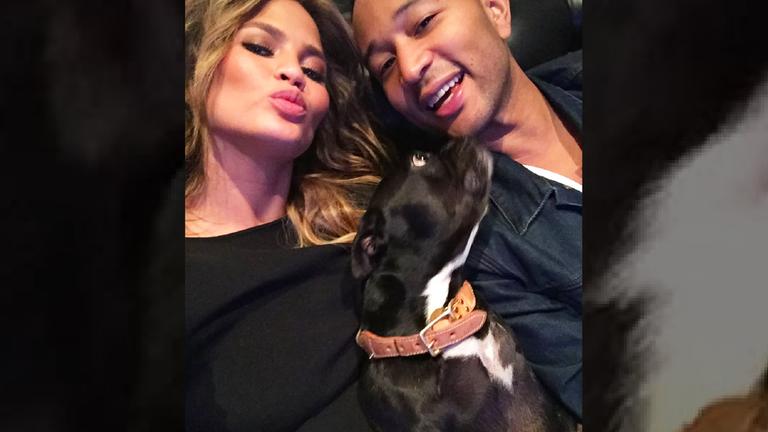 Chrissy Teigen, John Legend und ihre vier Kids trauern um ihre geliebte Familienhündin Penny. Die Französische Bulldogge sei im Alter von elf Jahren friedlich im Schlaf gestorben. (27.01.2025)