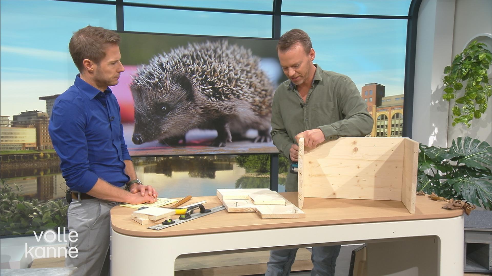 Christian Ehrlich und Florian Weiss im "Volle Kanne"-Studio. Christian Ehrlich baut ein Igel-Haus.
