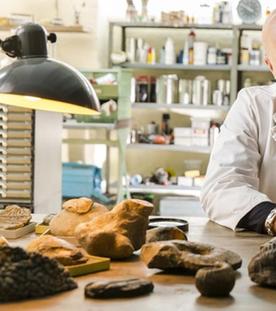 Christian Berkel mit gefälschten Artefakten: Historische und sogar Fundstücke wurden gefälscht. Berkel berichtet über dreiste Fossil-Fälscher.