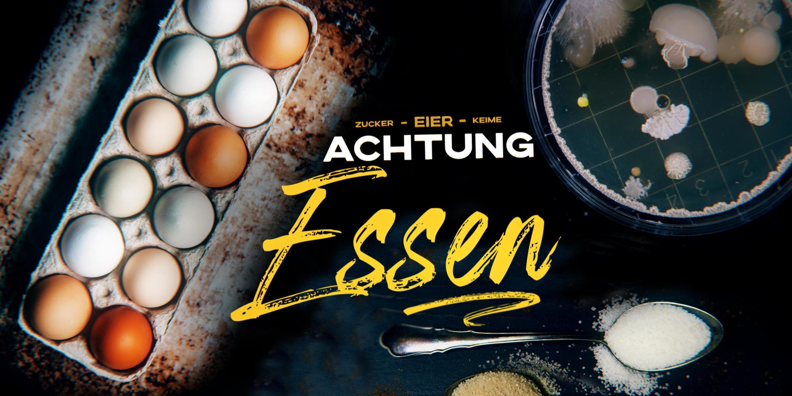 "Achtung, Essen! - Eier": Eine Schachtel mit Eiern, eine Petrischale mit Keimen und zwei Teelöffel mit Zucker liegen auf einer Oberfläche.