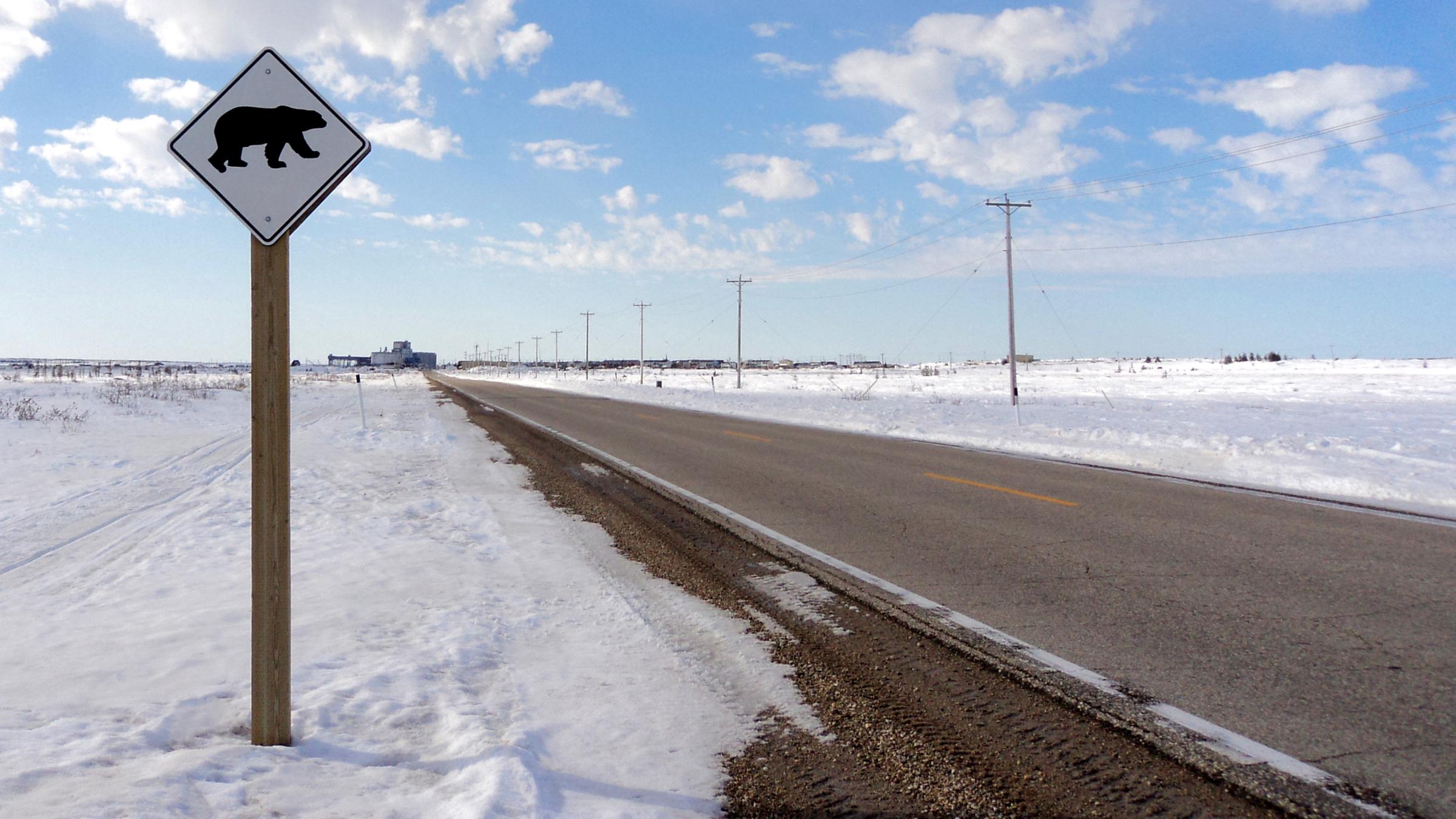 Eisbärenwarnschild an der Straße