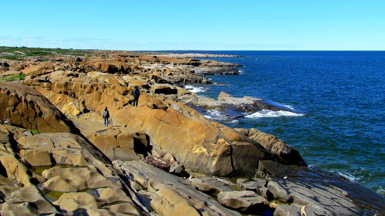 Hudson Bay in Churchill