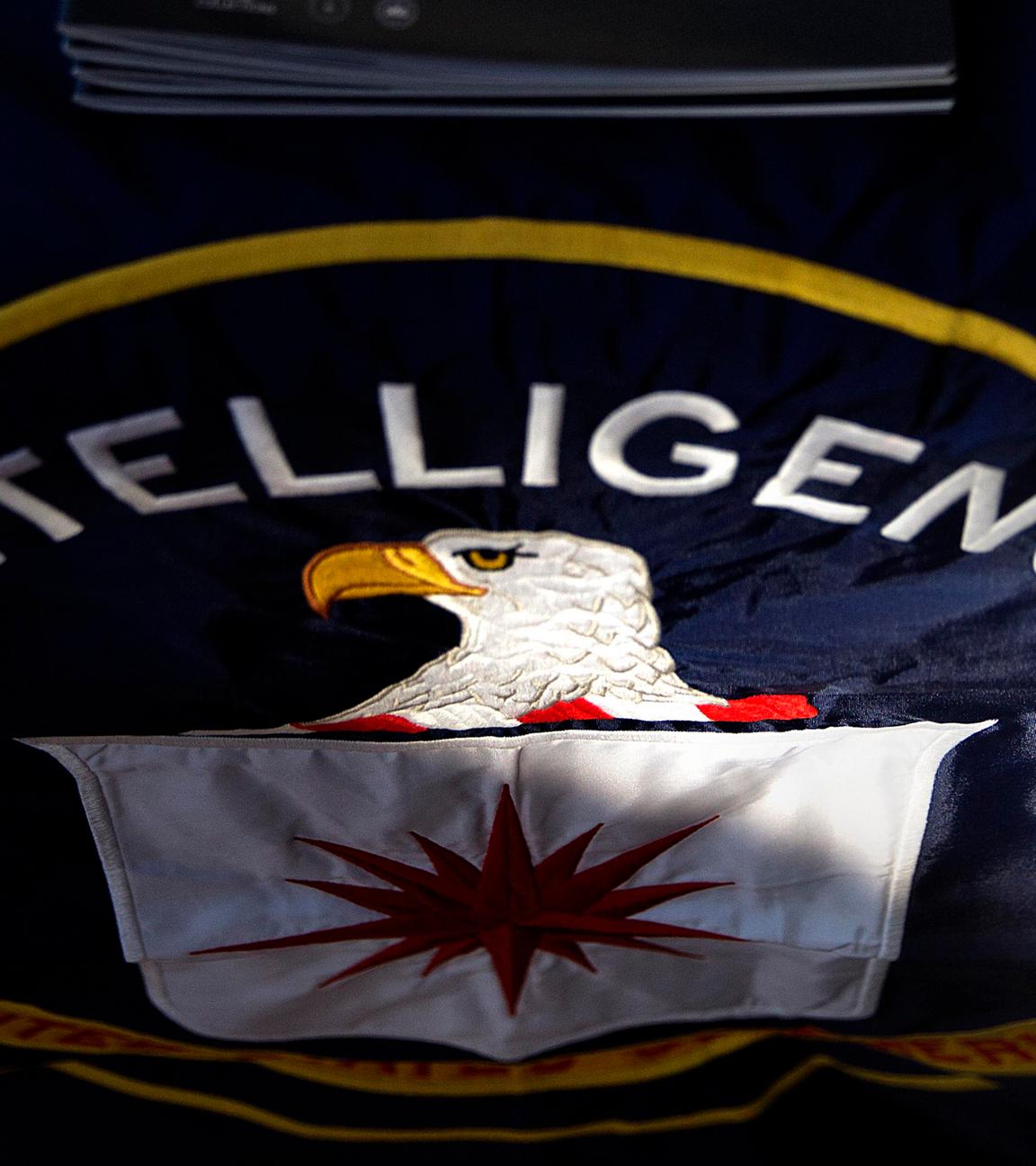 Auf diesem Archivfoto vom 13.11.2013 ist das Logo des CIA in Atlanta zu sehen.