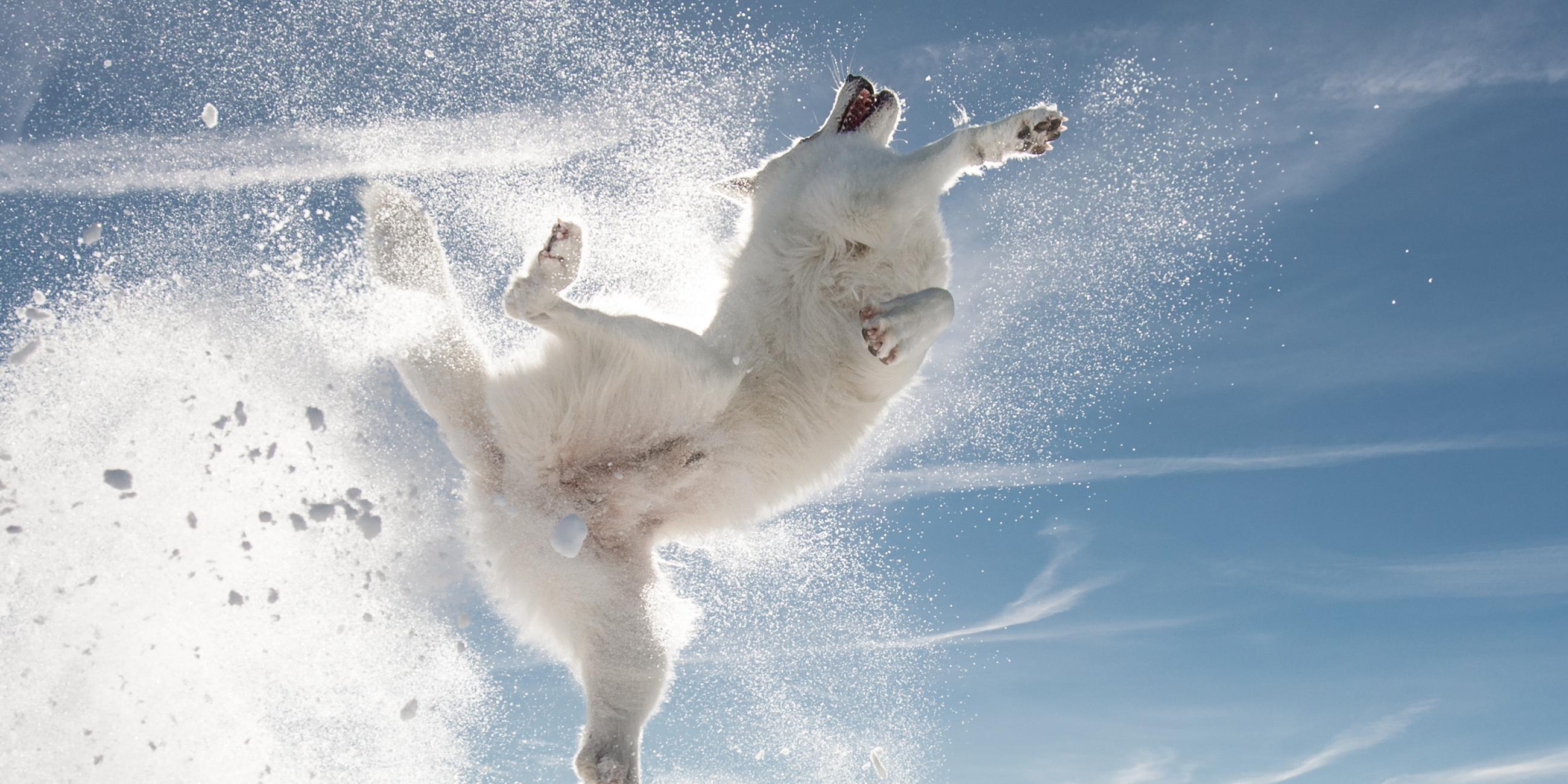 Everybody is Kung Fu Fighting