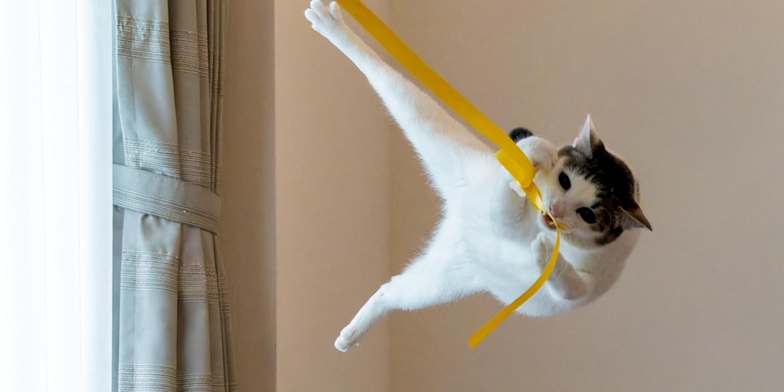 Tarzan