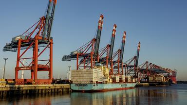 ARCHIV: Containerschiffe liegen zur Abfertigung an den Terminals im Hamburger Hafen. 