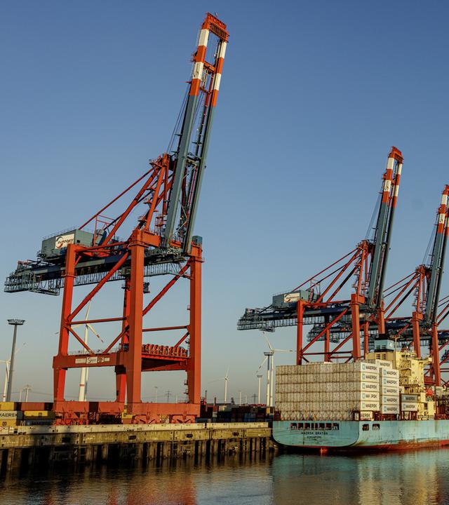 ARCHIV: Containerschiffe liegen zur Abfertigung an den Terminals im Hamburger Hafen. 