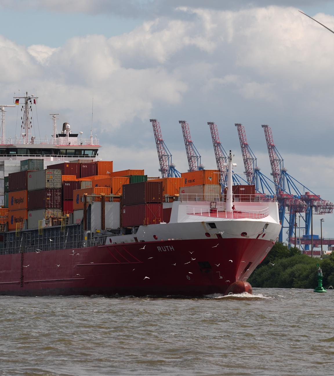 Hamburg: Möwen fliegen vor einem Containerschiff im Hamburger Hafen her.