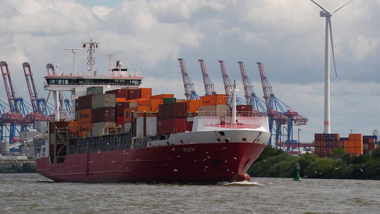 Hamburg: Möwen fliegen vor einem Containerschiff im Hamburger Hafen her.