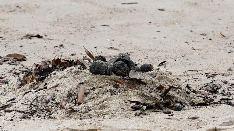 Unbekannte Geröllkugeln am Strand von Coogee, Australien