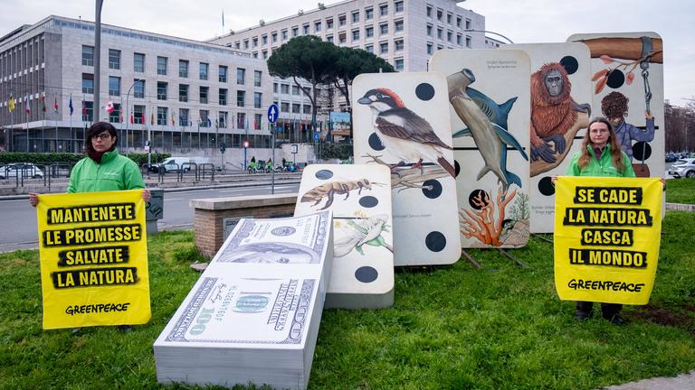 Italien, Rom, COP16 Biodiversitätskonferenz