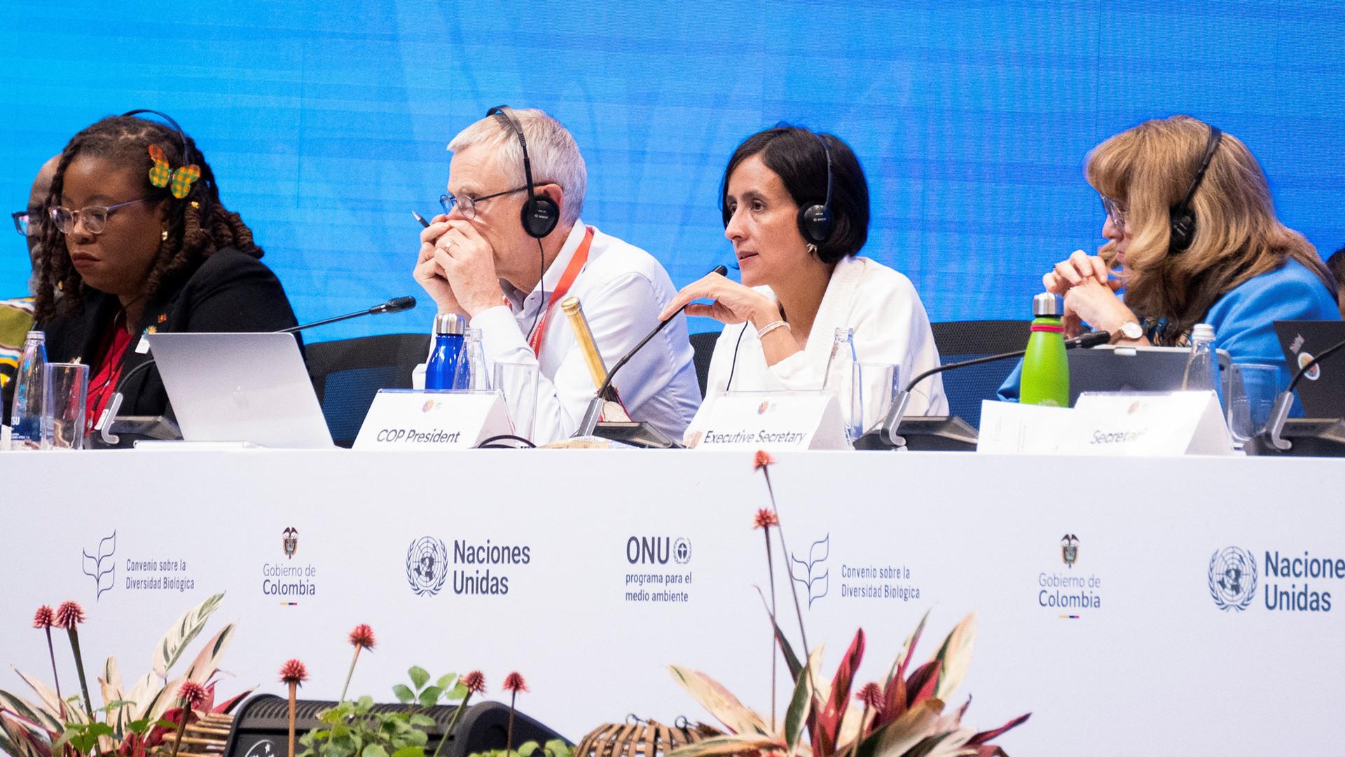 Abschlusssitzung der COP16 in Cali, Kolumbien