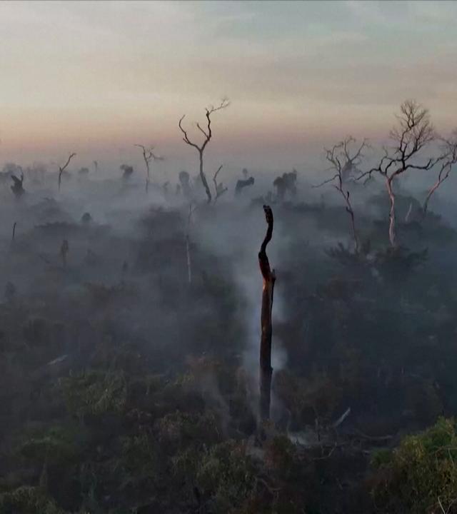 Copernicus Report: Es wird immer heißer
