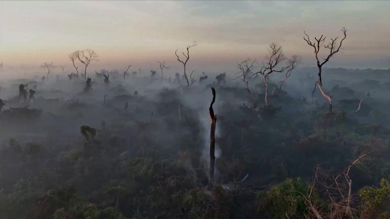 Copernicus Report: Es wird immer heißer