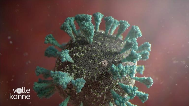 Gefahr einer Corona-Sommerwelle?