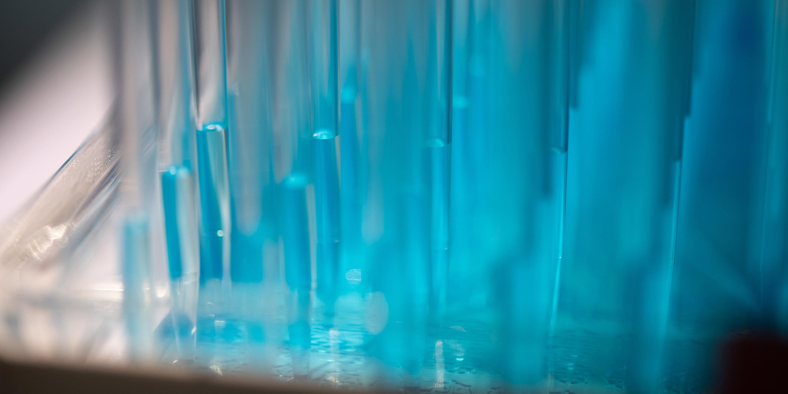 Blaue Flüssigkeit wird in einem Labor des biopharmazeutischen Unternehmens Curevac am 24.02.2020 in Tübingen pipettiert.