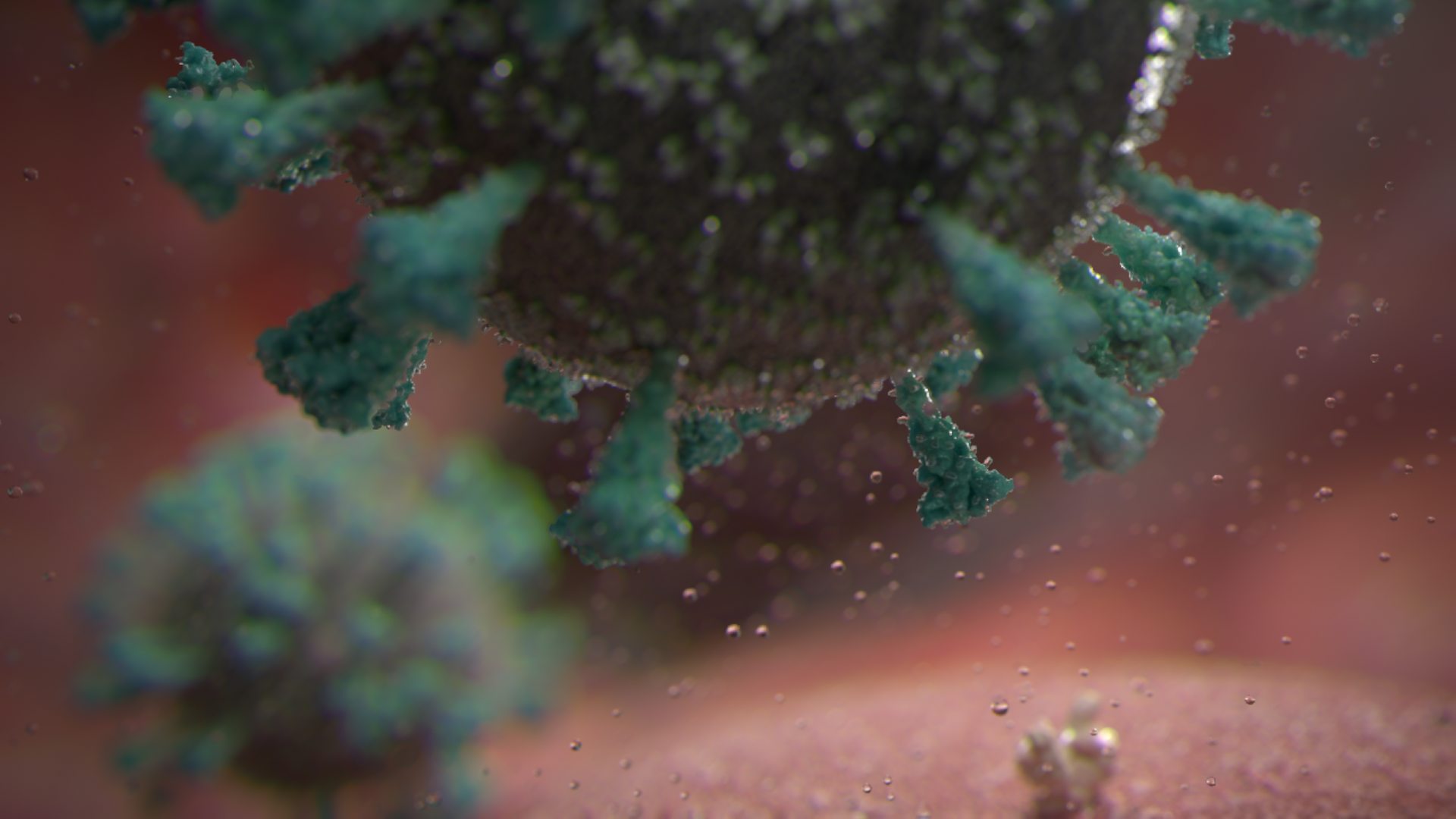 Darstellung des SARS-Coronavirus-2 in der menschlichen Zelle