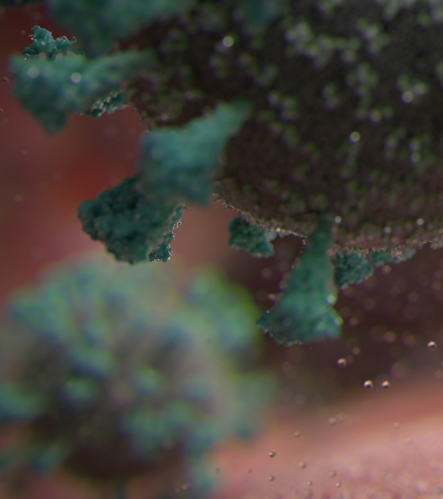 Darstellung des SARS-Coronavirus-2 in der menschlichen Zelle