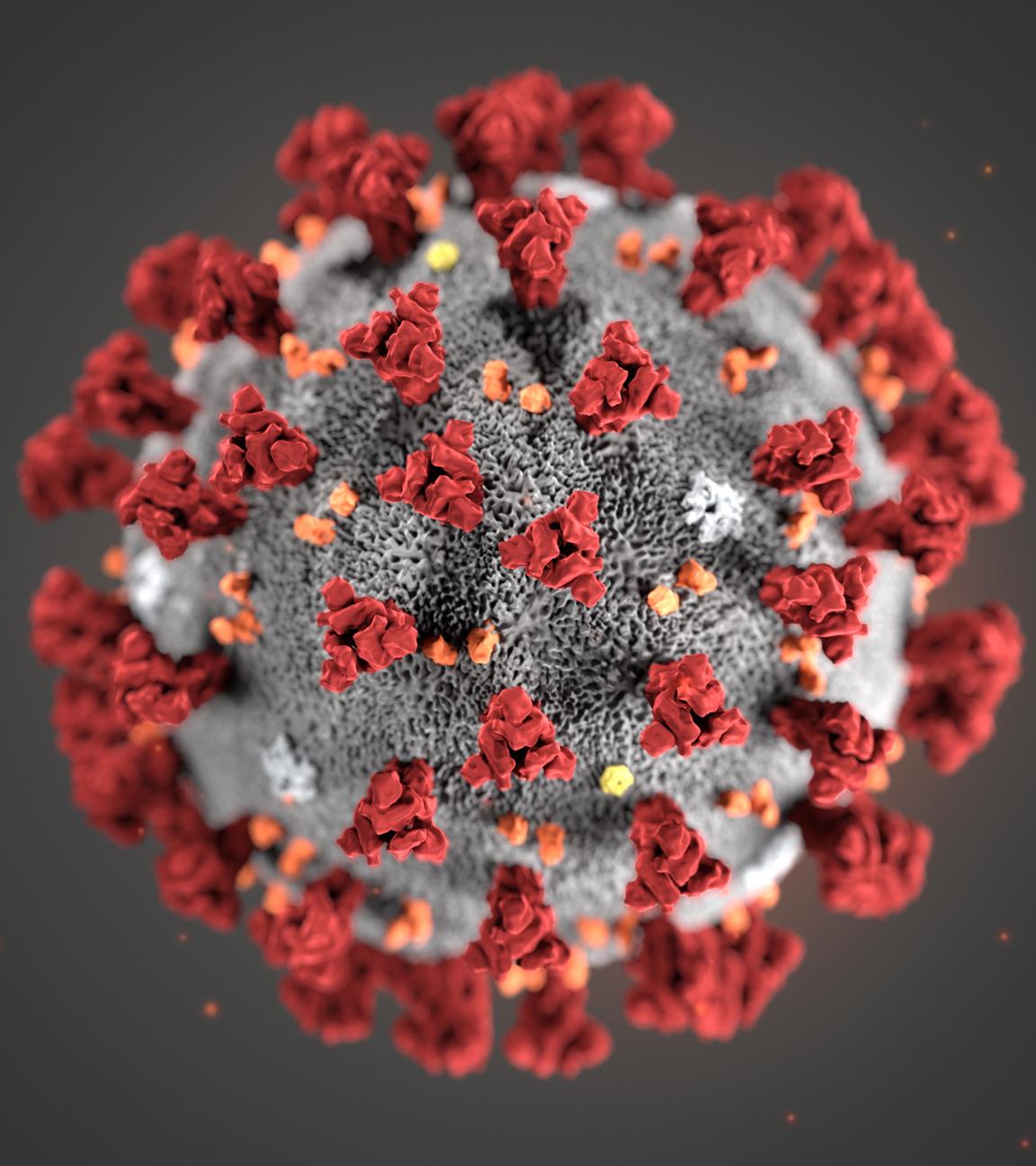 Eine Illustration des Coronavirus "SARS-Cov-2".