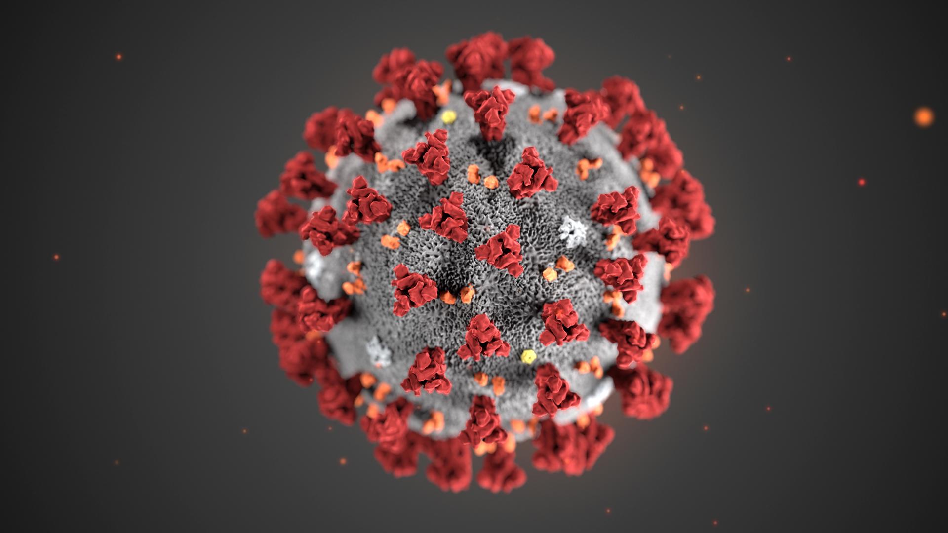 Eine Illustration des Coronavirus "SARS-Cov-2".